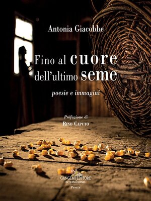 cover image of Fino al cuore dell'ultimo seme